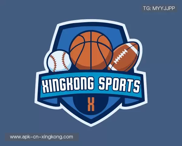 解读XINGKONG中国官网